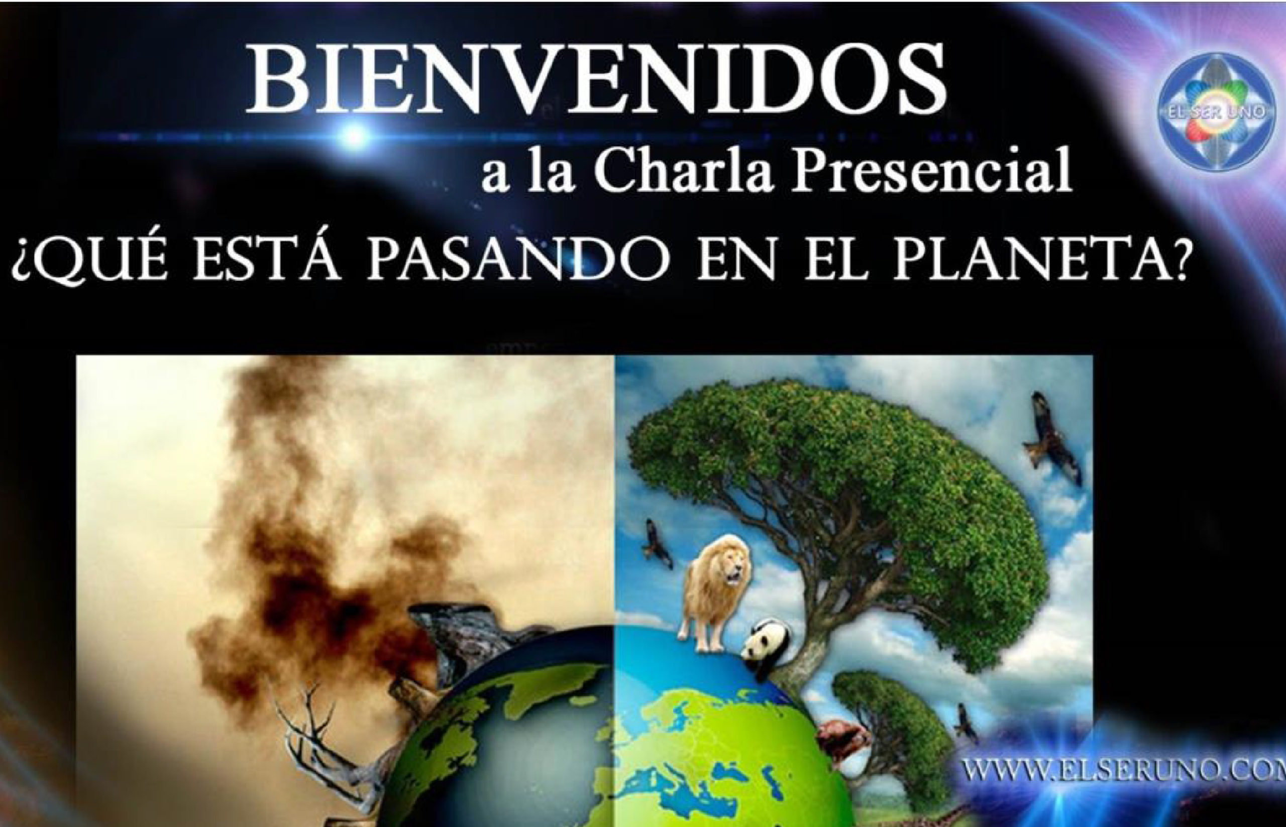 Portfolio imagenes-36